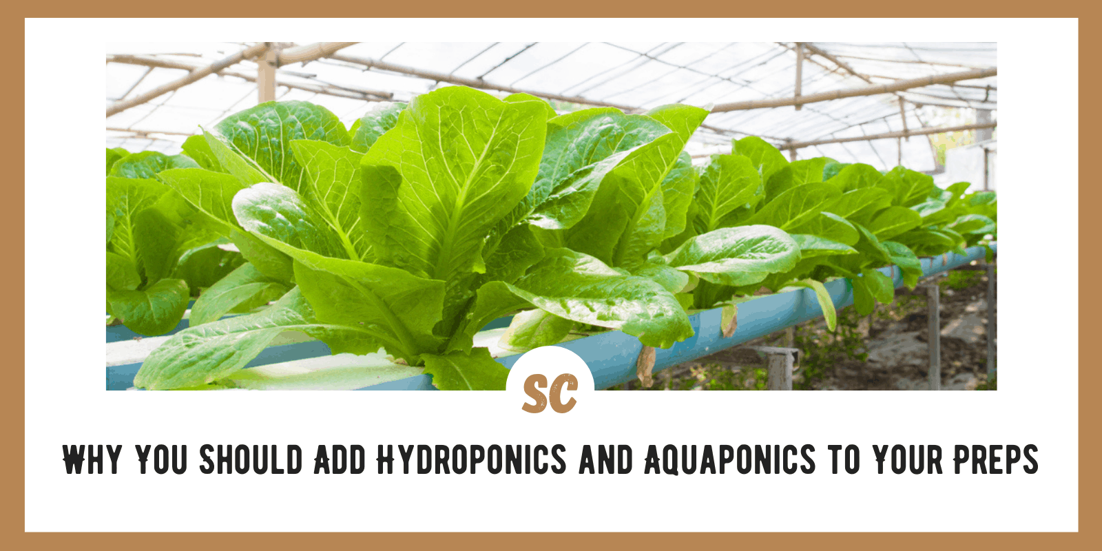 Why You Should Add Hydroponics and Aquaponics to Survival Preparedness