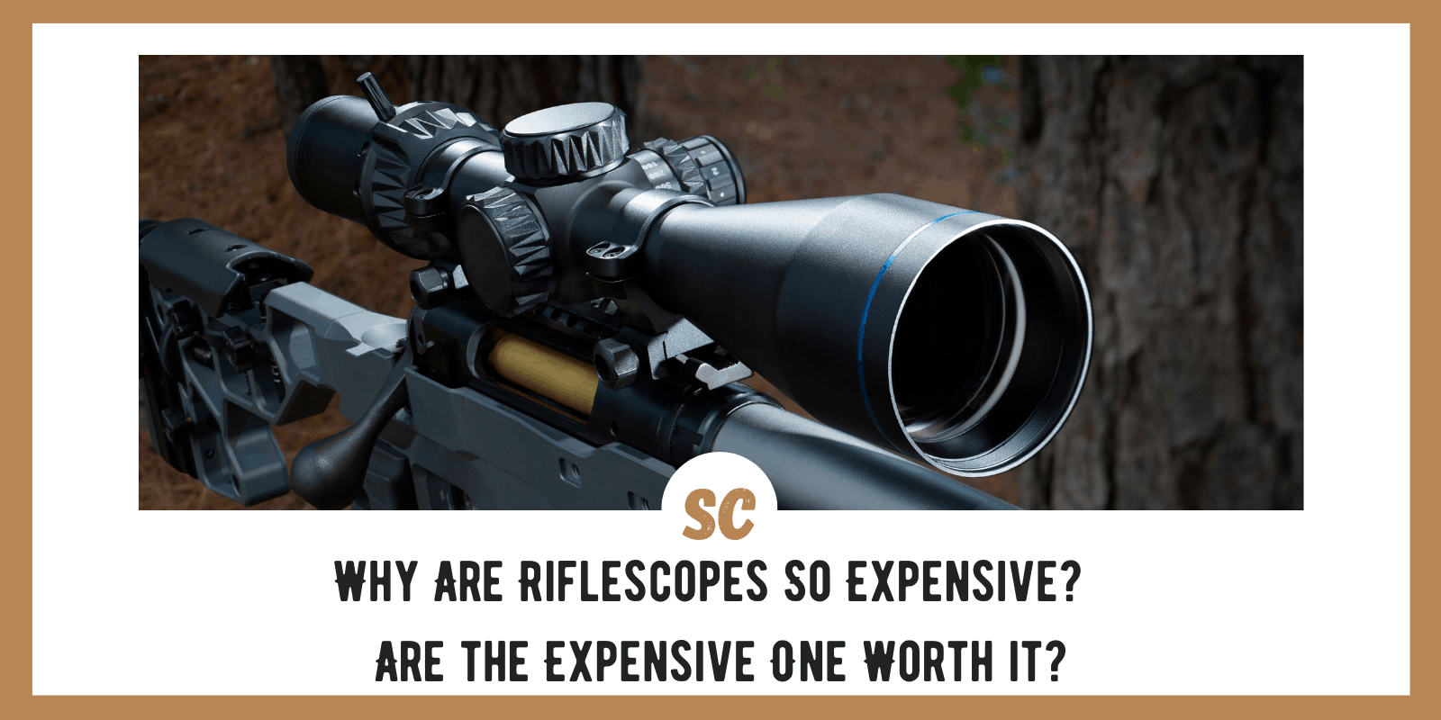 Why Are Riflescopes So Expensive? Are They Worth it?