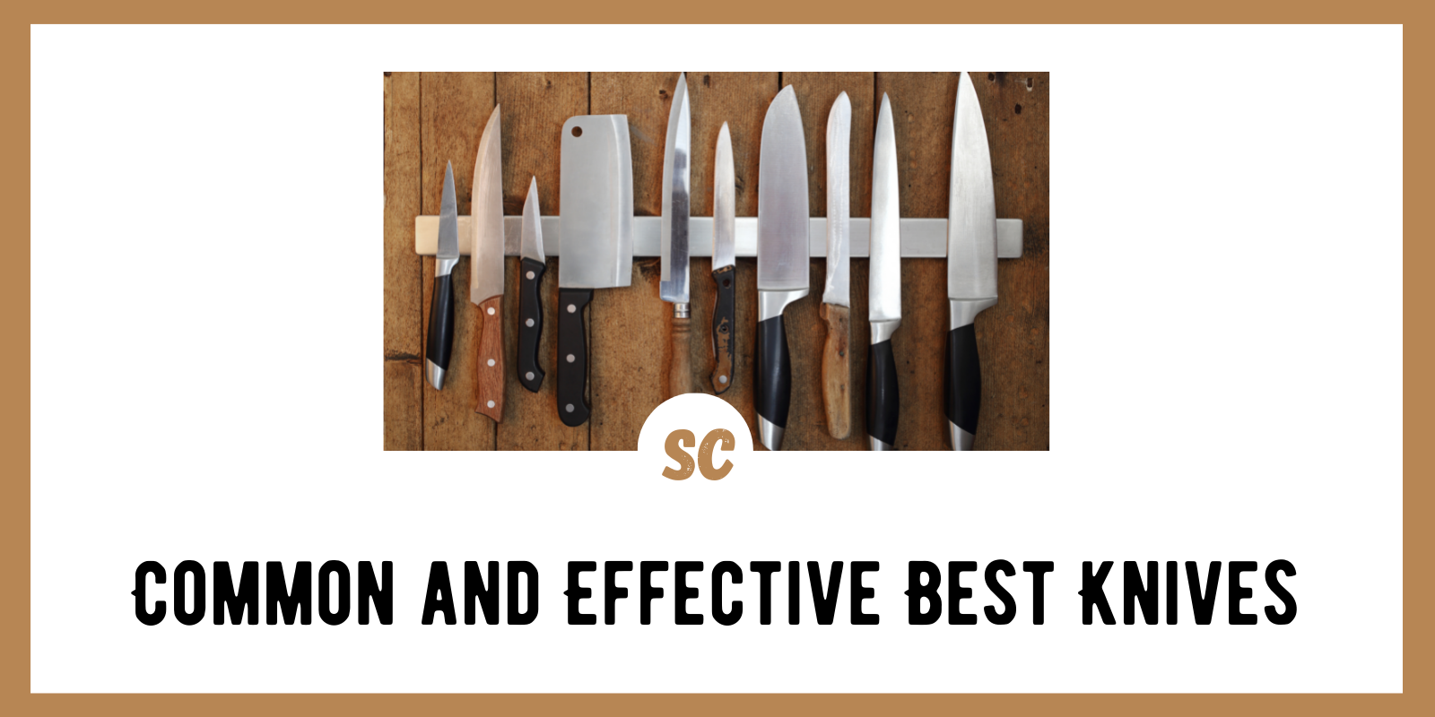 17 Types of Knife Blade Shapes and Uses