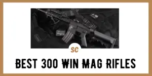 Best 300 Win Mag Rifles