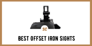 Offset Iron Sights
