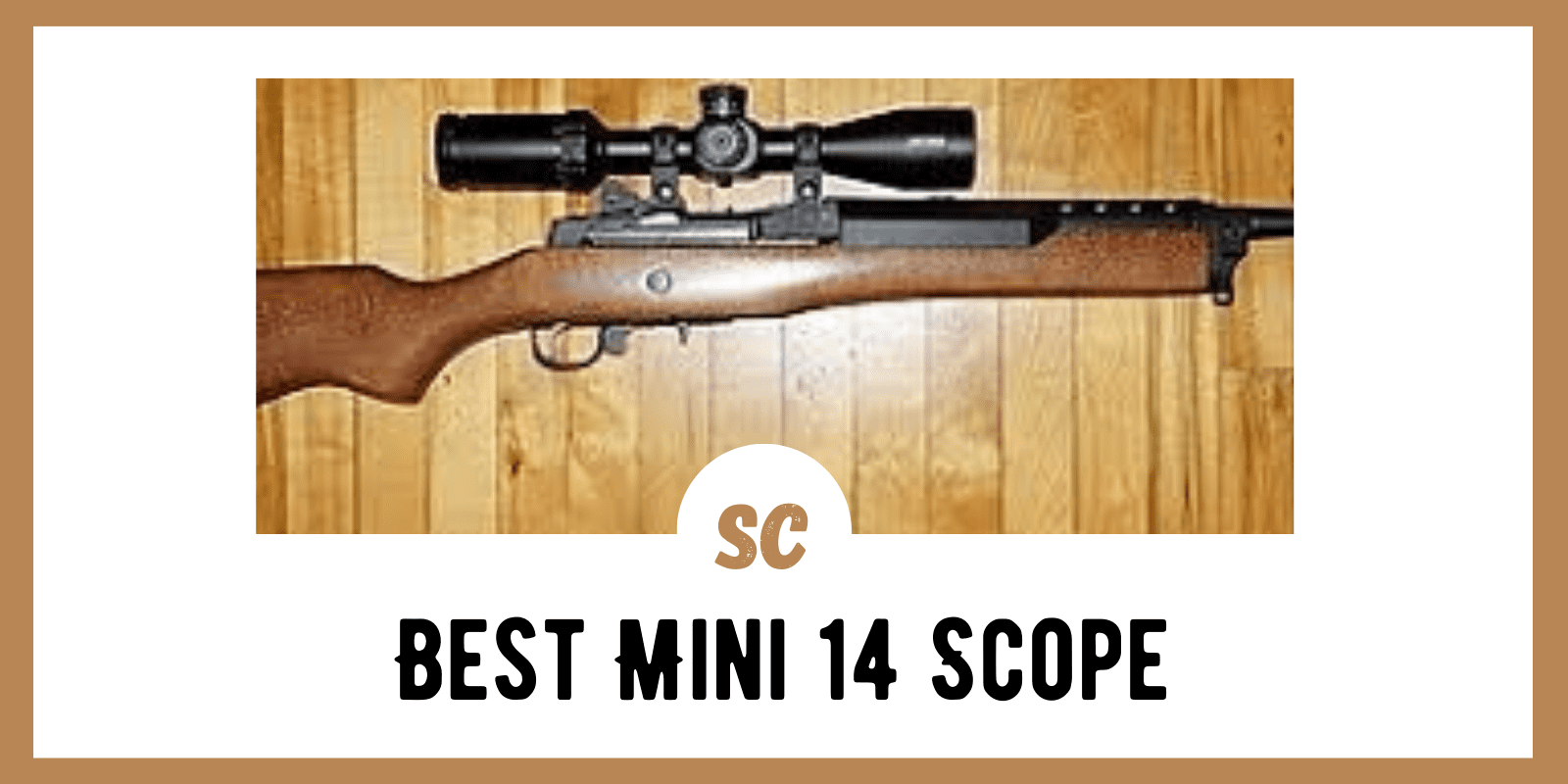 Best Mini 14 Scopes: Top 4 Picks