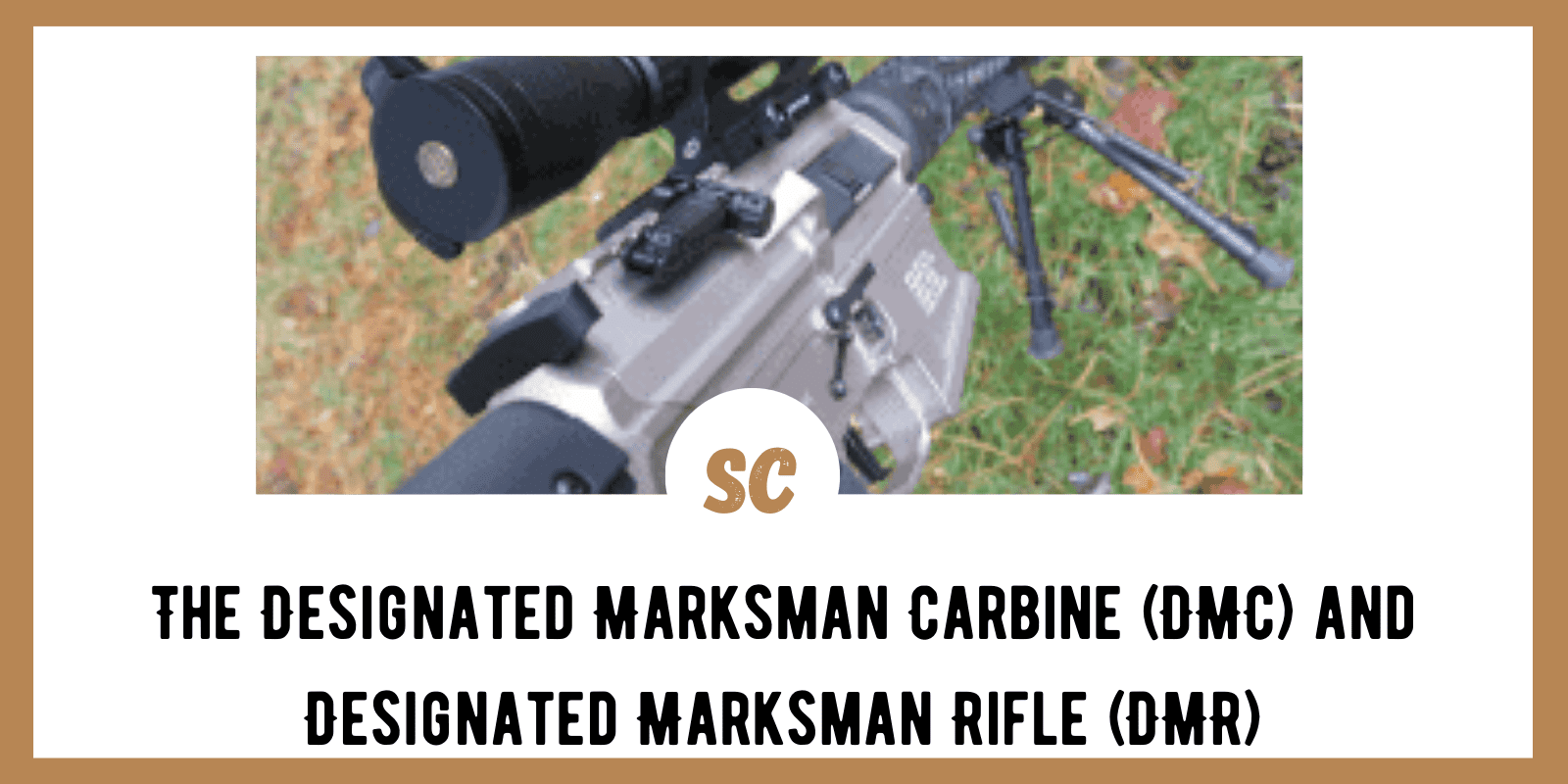 The Designated Marksman Carbine (DMC) and Designated Marksman Rifle (DMR)