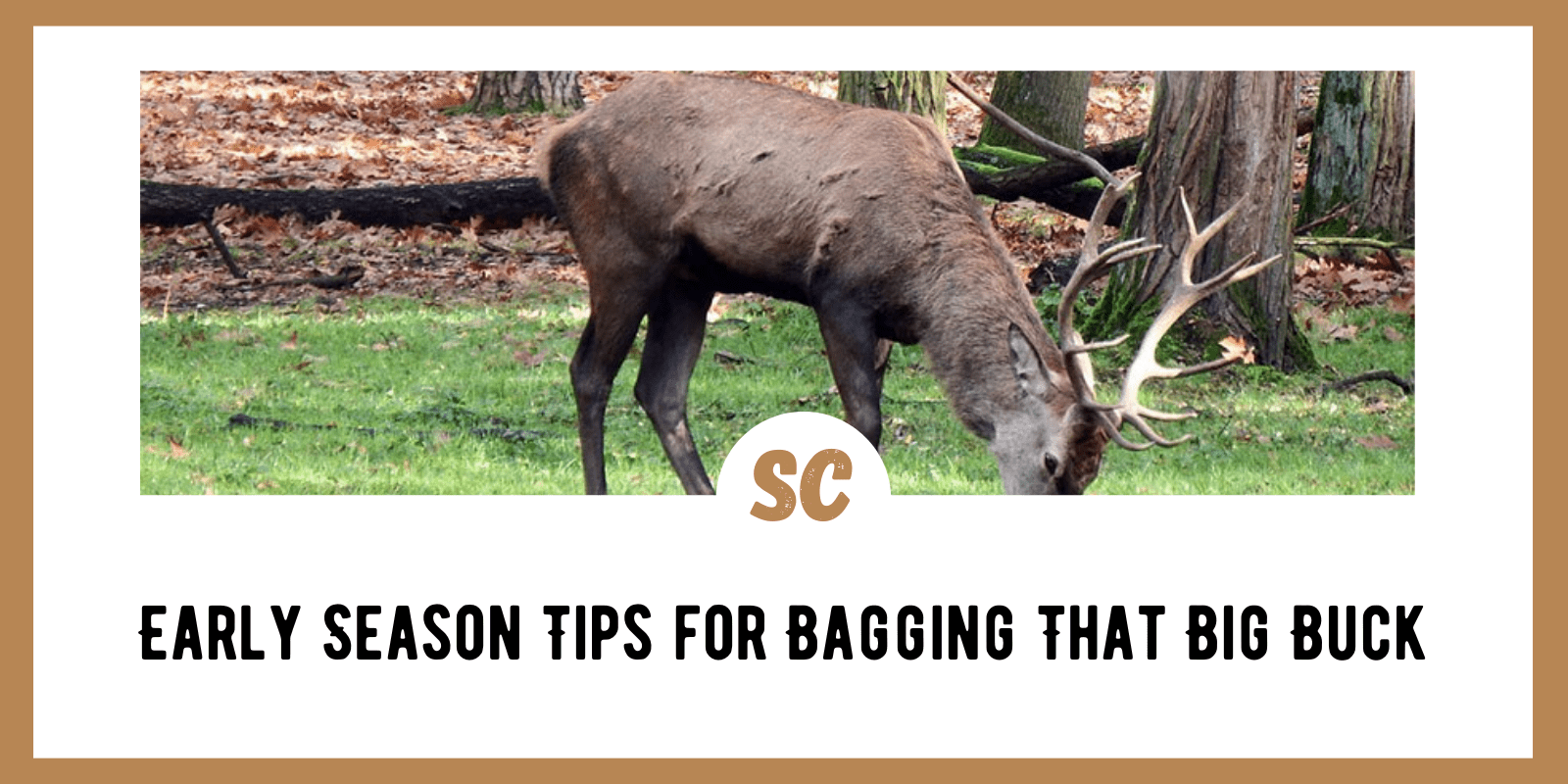 Early Season Tips for Bagging That Big Buck