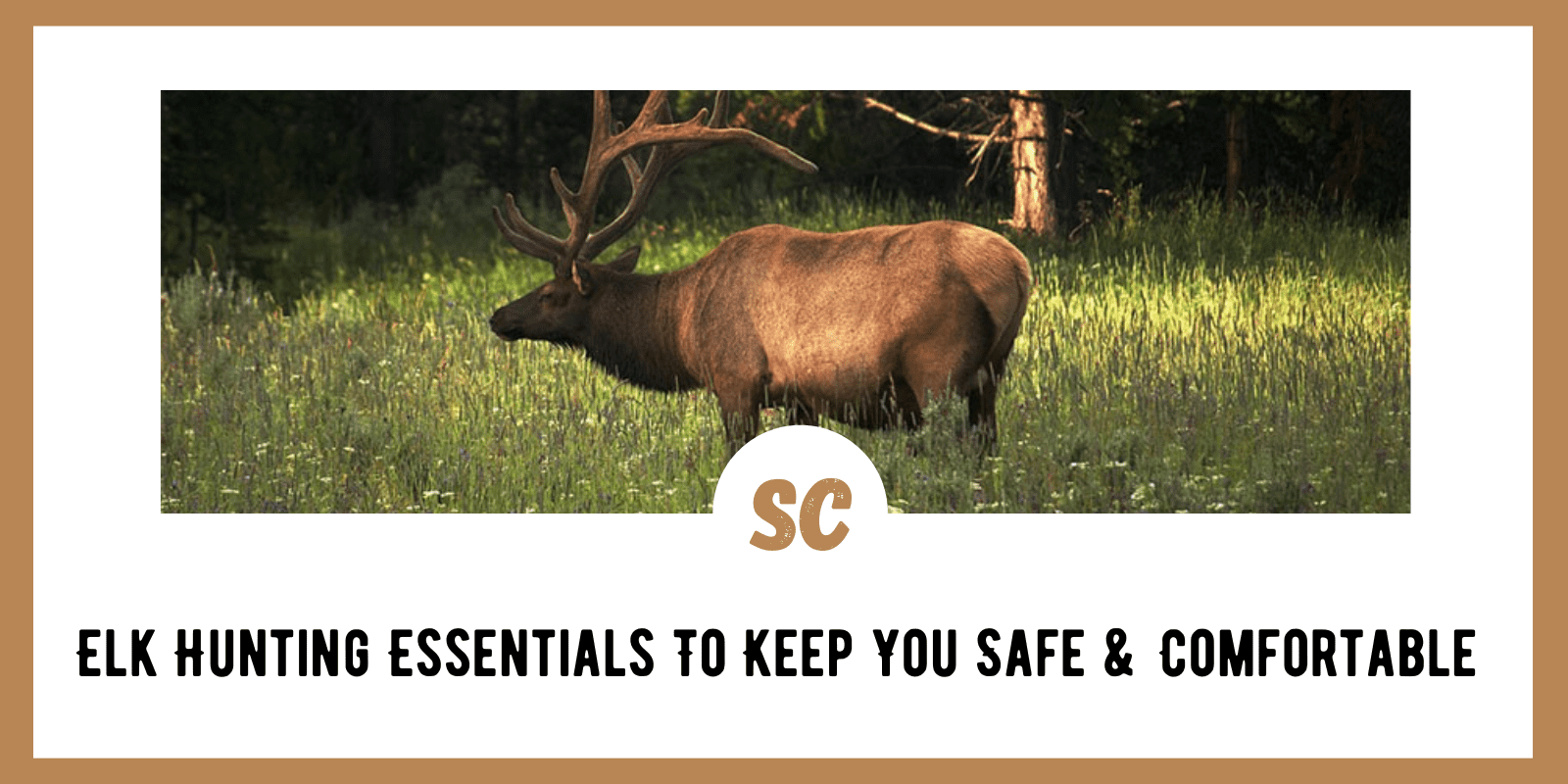 Elk Hunting Essentials To Keep You Safe & Comfortable