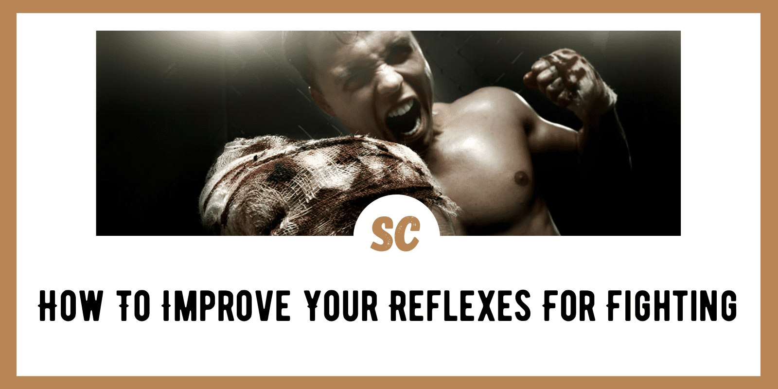 How To Improve Your Reflexes For Fighting