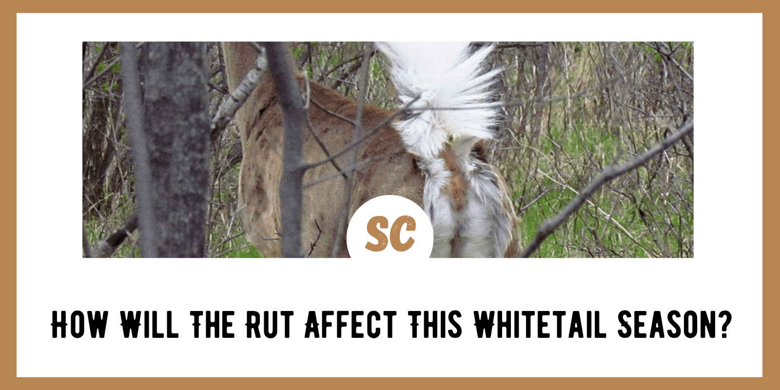 How Will The Rut Affect This Whitetail Season?