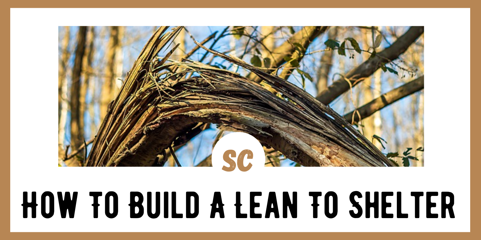 How To Build A Lean To Shelter