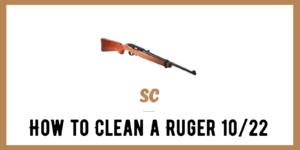 This image has an empty alt attribute; its file name is How-to-Clean-a-Ruger-1022-1-300x150.png