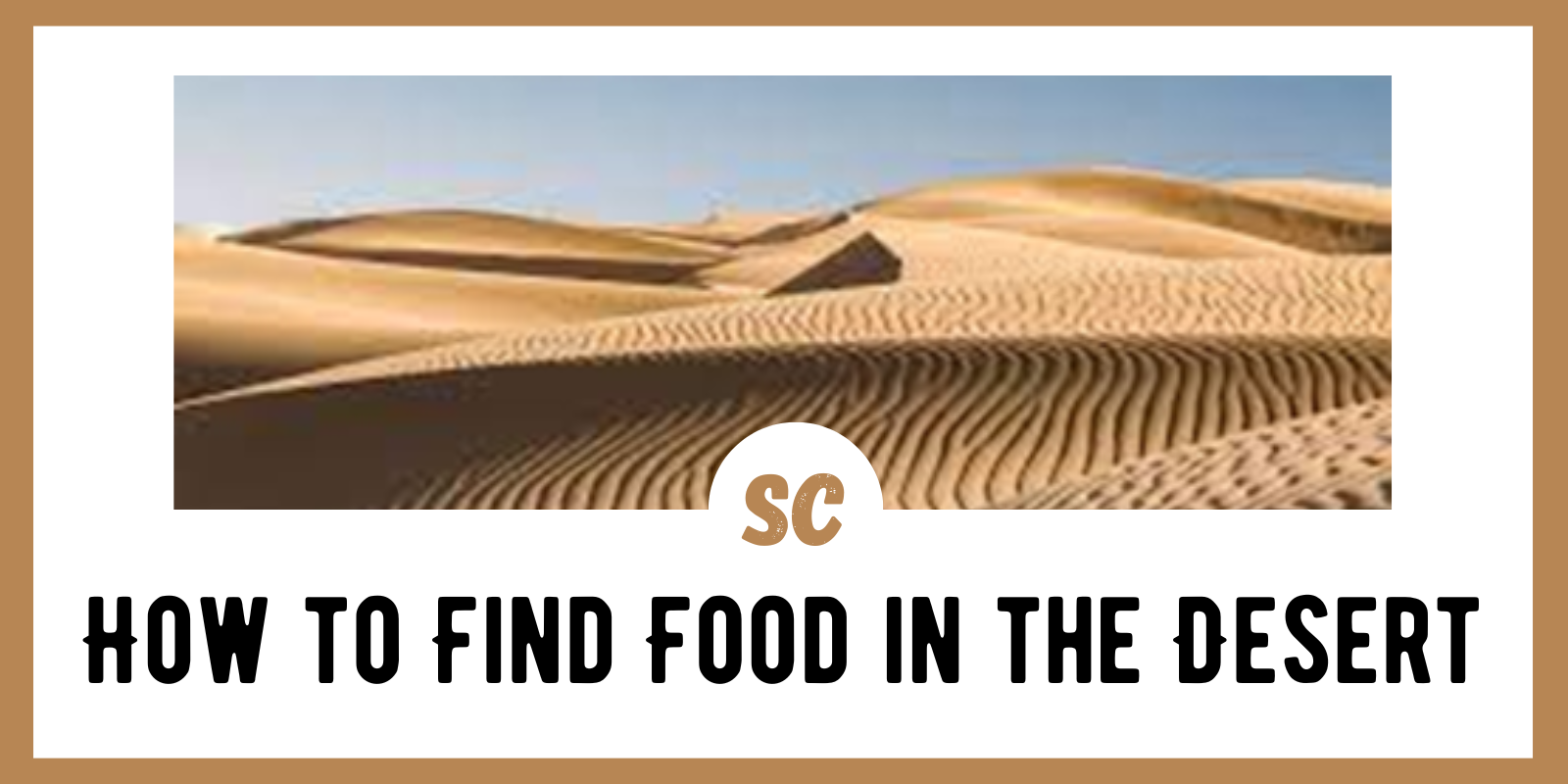 How to Find Food in the Desert