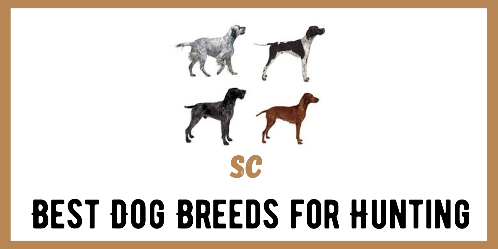 The Best Dog Breeds for Hunting