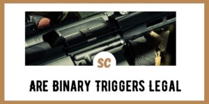Are-Binary-Triggers-Legal