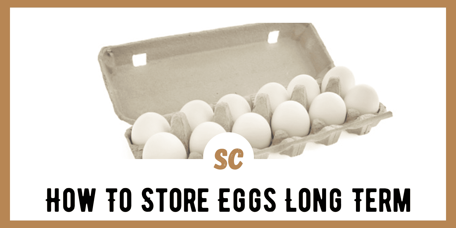 How To Store Eggs Long Term