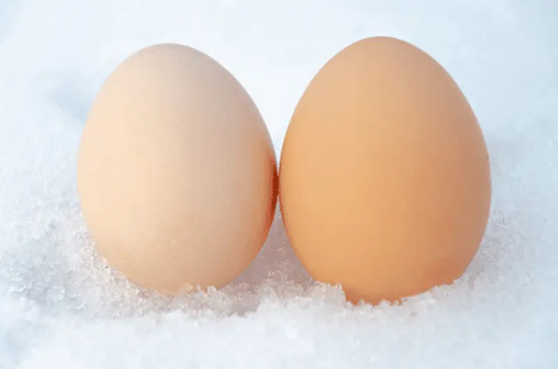 easily freeze eggs at home 