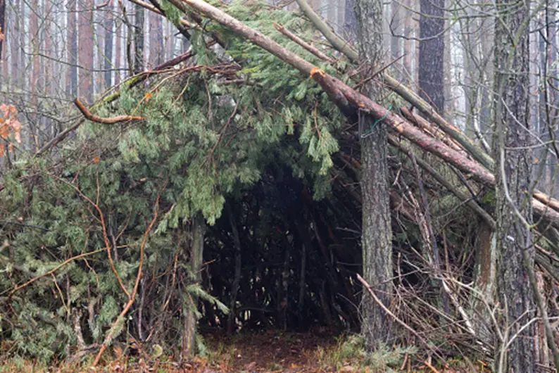 primitive shelters