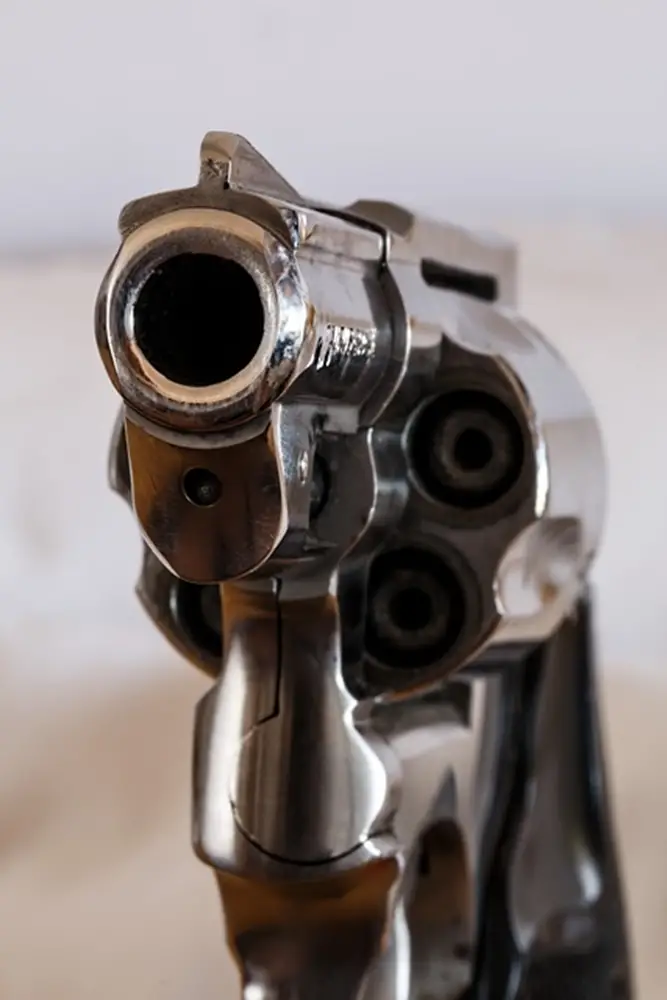 Gun with chamber showing
